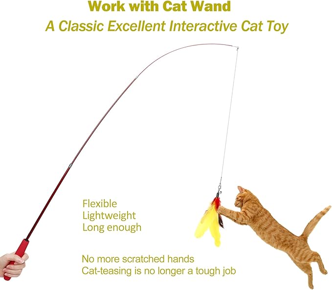11PCS Cat Feather Toys Refills, 10PCS Feathers and 1PC String, Interactive Cat Wand Toy Replacement for Bored Indoor Adult Cats & Kittens-PurrikoPets