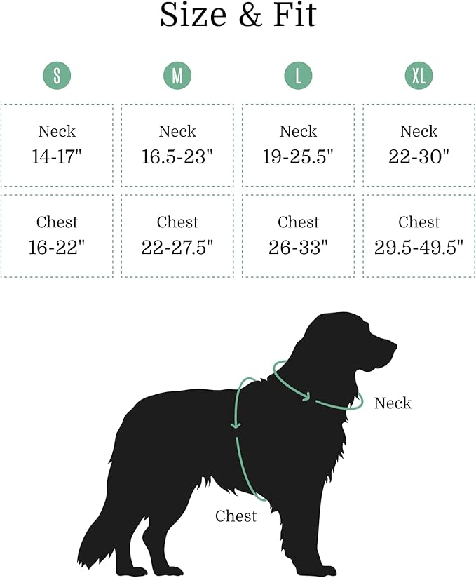 2025 New Edition, Fei & Eve MagEase Dog Harness - 3-Second Magnetic Buckles | 3-Point No-Pull Control | Heavy-Duty 900D Nylon | Dual Safety Handles | Breathable Mesh | Adjustable Fit | Medium, Green-PurrikoPets