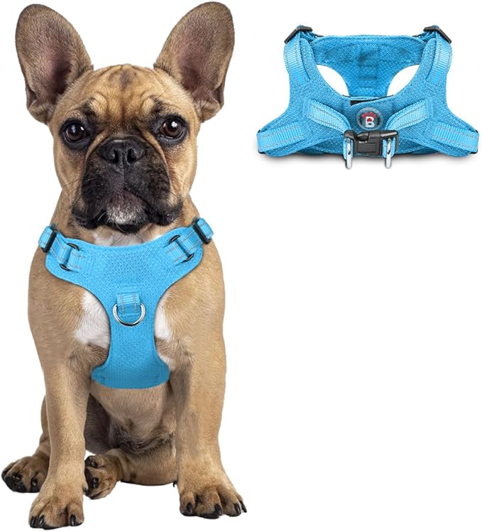 Dog Harness Step in Dog Vest Harness, Reflective Adjustable Puppy No Pull Harness Breathable Soft for Small and Medium Dogs Cats, Blue, S-PurrikoPets