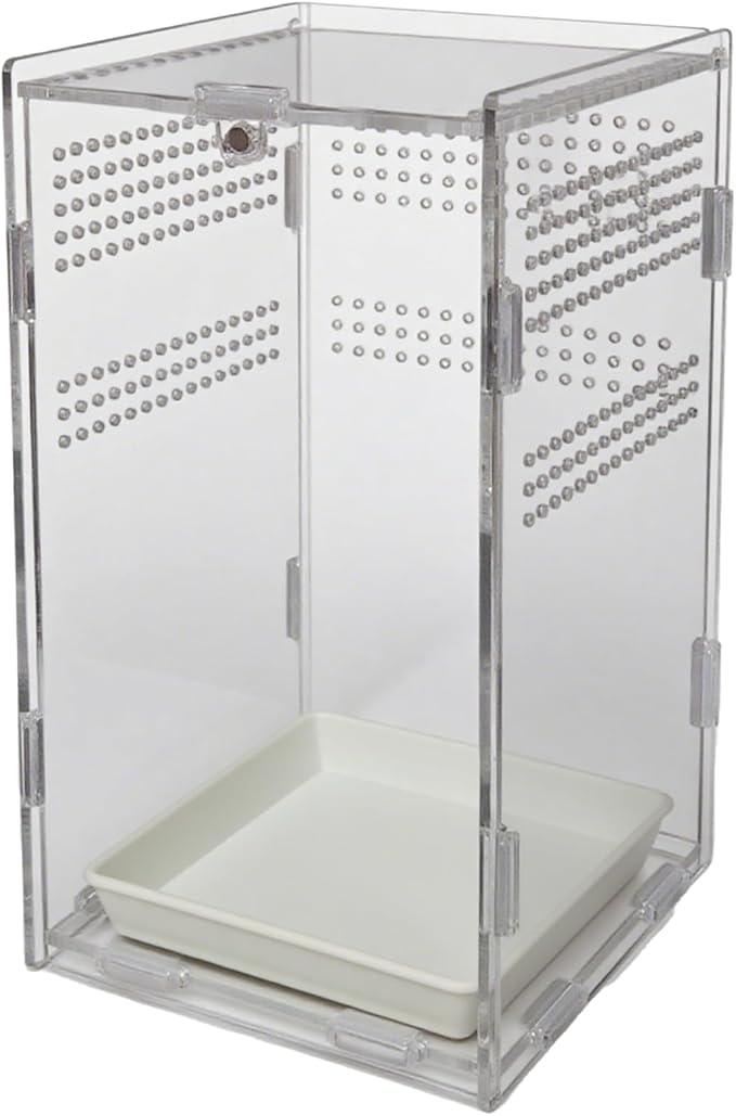 Acrylic Jumping Spider Enclosure,Reptile Enclosure,Bug Habitat, for Small Tree Dwelling Reptiles,Arboreal Tarantula Enclosure, Spider Terrarium Kit,Plastic Terrarium(4.7" X 4.7" X 8")-PurrikoPets