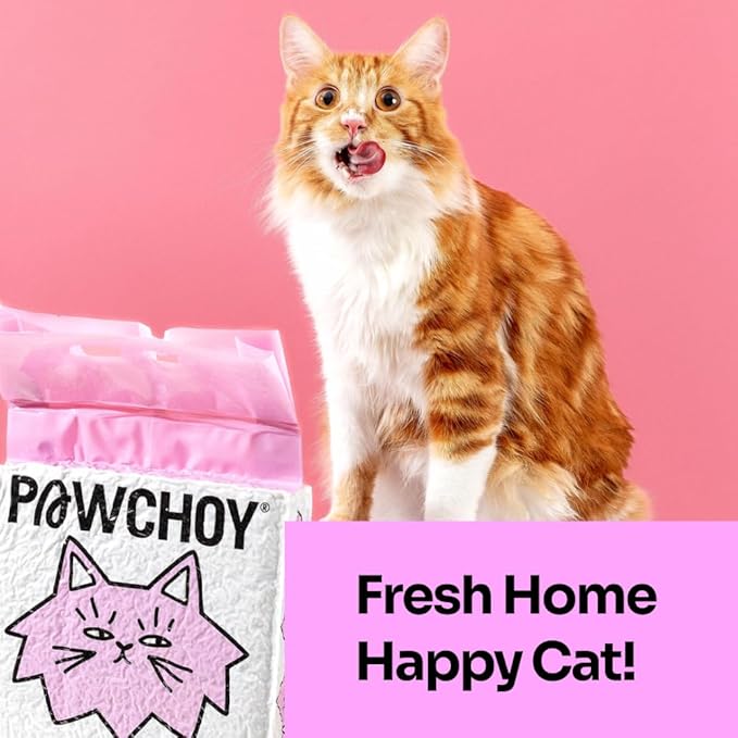 5 in 1 Mixed Cat Litter – Clumping, Flushable, Ultra Absorbent & Fast Drying | 100% Natural, Dust-Free, Low Tracking | with Activated Carbon for Superior Odor Control (5.5 lbs × 1 Bags)-PurrikoPets