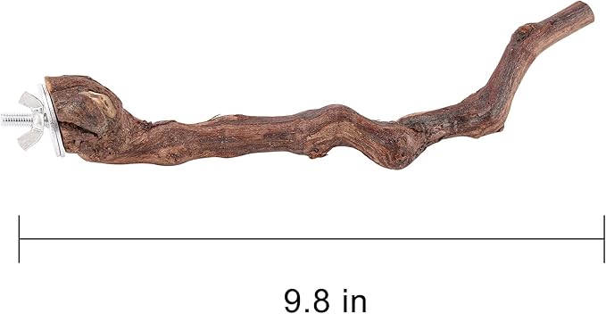 2 pcs 9.8 inch Bird Perches Stand Natural Wood Bird Perches, Birdcage Wood Stand Tree Perches for Birds Cockatiels Parrots Conures Macaws Finches(2PCS 9.8" Length)-PurrikoPets