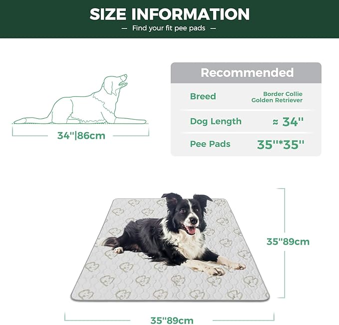 FXW Washable Pee Pads for Dogs, Puppy Pads with Super Absorbent, Specifically Designed for Potty Training, 35" Square, Khaki, 2 Packs-PurrikoPets