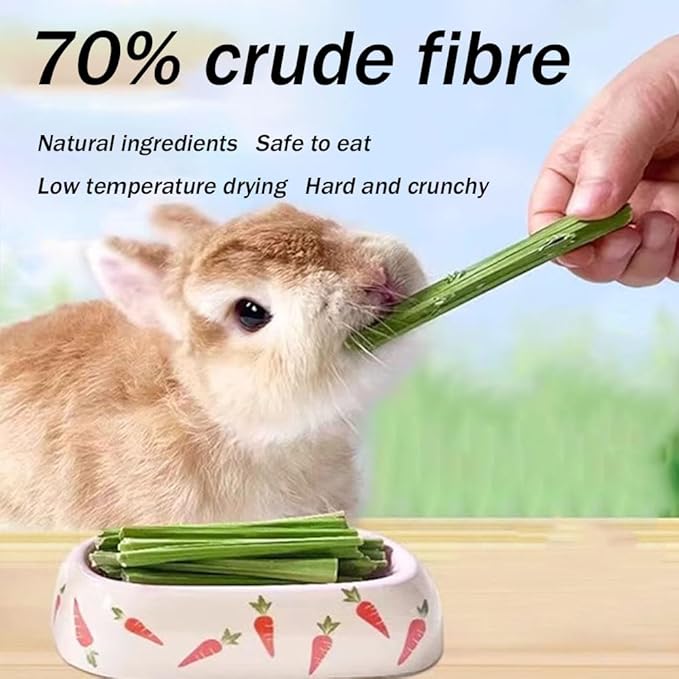 400g 5 Guinea Pig Toys Apple Sticks, Tissimo Grass Sticks, Sweet Bamboo, Papaya Stems, Carrot Sticks Pertain Chinchilla Squirrel Gerbil Hamster Squirrel Guinea Pigs-PurrikoPets