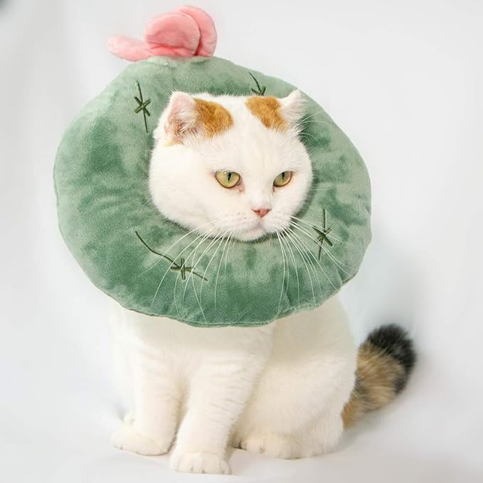 Adjustable Cat Recovery Collar Soft,Cute Pet E-Collar Neck Cone After Surgery Wound Healing Protective Cone Fit for Kitties, Small Dogs(ELC05-cactus-s)-PurrikoPets