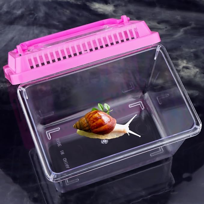 20 Pack Small Plastic Reptile Carrier Tarantula Enclosure Snake Breeding Box Hatching Container for Spider Fish Turtle Hermit Crab Bearded Dragon Lizard (5.1 x 3.5 x 3.5 Inch)-PurrikoPets