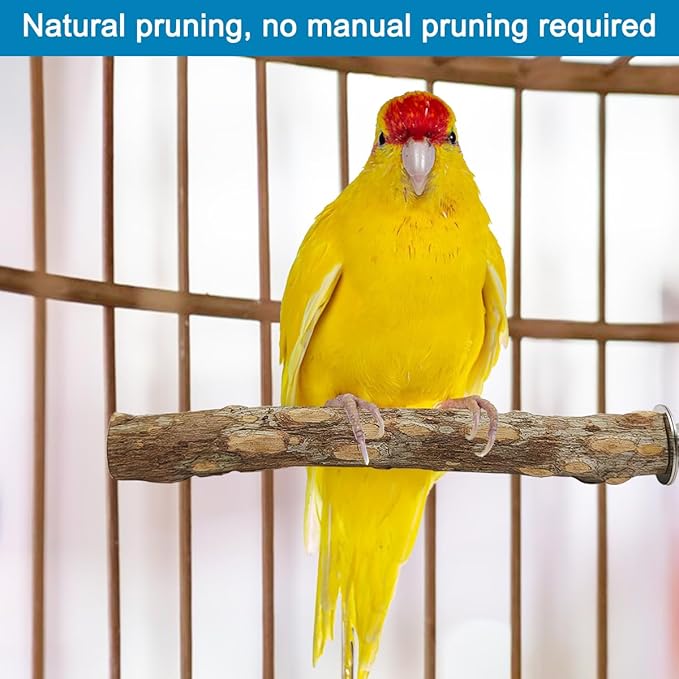 4 Pcs Natural Wooden Bird Perch Parrot Stand, 2 Grape Wood Perches, A Stand Fork Standing Branch, A Paw Grinding Fork, Bird Cage Accessories for Parakeets, Birdcage Sticks & Toys for Budgies, Finches-PurrikoPets