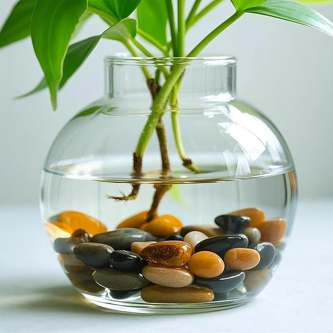 5 Lbs River Rocks for Plants,0.8-1.5 Inch Decorative Ornamental Pebbels, High Polished Stones for Garden Landscaping, Smooth Gravel Filler for Outdoor Plants, Succulents, Fish Tank and Vases, Yellow-PurrikoPets