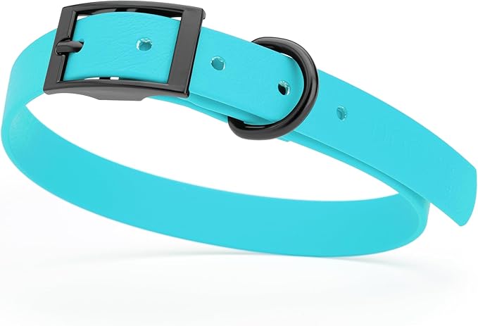 Dogline Biothane Waterproof Dog Collar Strong Coated Nylon Webbing with Black Hardware Odor- Proof for Easy Care Easy to Clean High Performance Fits Small Medium or Large Dogs, Sky Blue-PurrikoPets