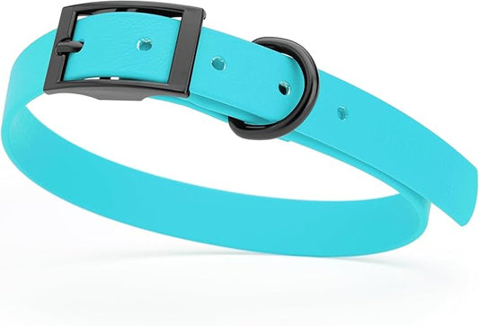 Dogline Biothane Waterproof Dog Collar Strong Coated Nylon Webbing with Black Hardware Odor- Proof for Easy Care Easy to Clean High Performance Fits Small Medium or Large Dogs, Sky Blue-PurrikoPets