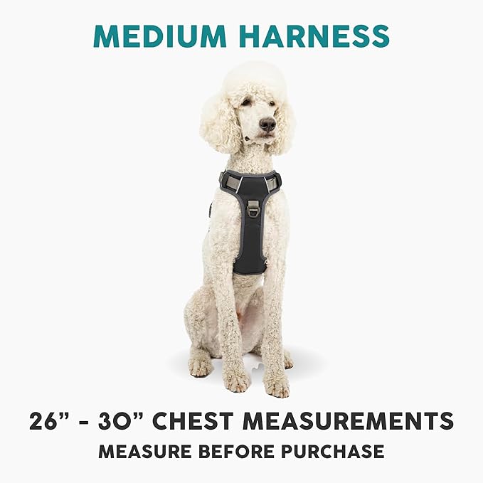 Embark Adventure Dog Harness, Reflective Trim No Pull Dog Harness Medium Sized - Military Grade Nylon, Front Clip with Gel Lined Handle. Soft & Padded Puppy Harnesses for Any Breed-PurrikoPets