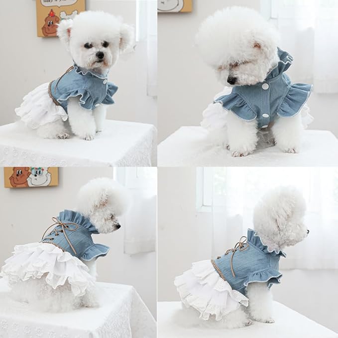 Girl Dog Denim Dress with Flared Sleeves Dog Jeans Jacket Blue White Puppy Clothes for Small Dogs Cat Apparel Cake Skirt Pet Outfit (Blue, X-Large)-PurrikoPets