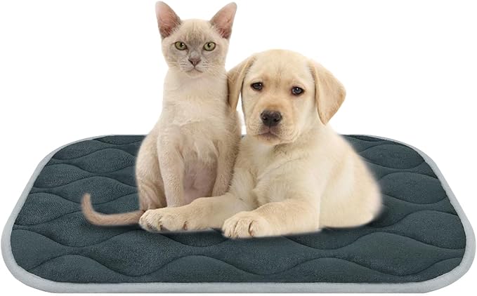 furrybaby Dog Crate Pad for Dog Cages Flat Crate Mat Kennel Pad with Anti-Slip Bottom Machine Washable for Pet Bed Sleeping (S 24x18'', Grey Mat)-PurrikoPets