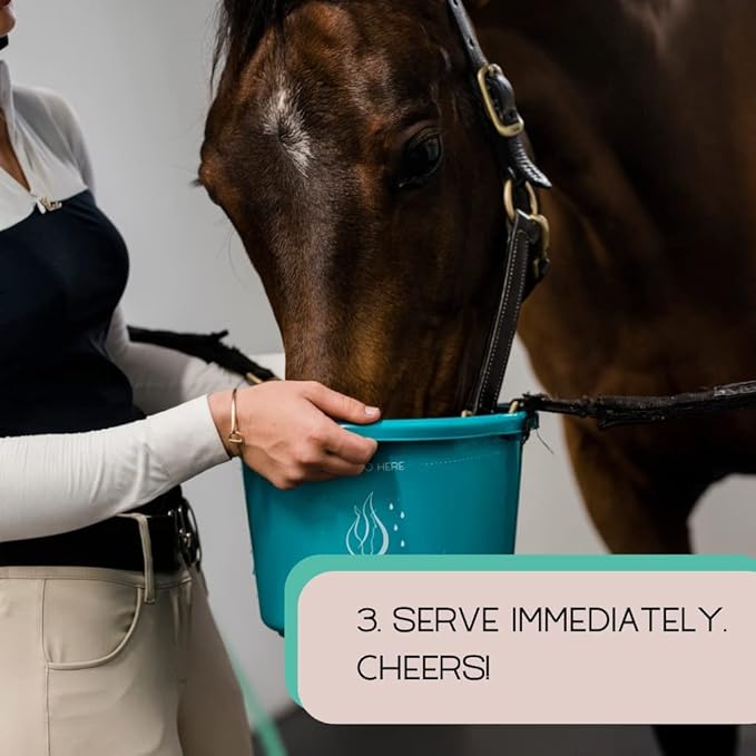 GALLAGHER'S WATER 2 Pack All-Natural Equine Hydration Treat - Enhancement Powder Mix Horse Drink Treat to Help Encourage to Drink Water - Made with All Natural Ingredients, FEI Compliant-PurrikoPets