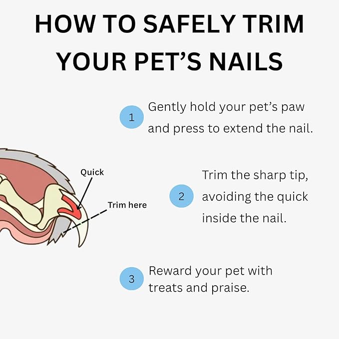 AIXINPET Dog & Cat Nail Clippers and Trimmers - with Free Nail File, Protective Guard to Avoid Over Cutting, Extra Sharp Blade - Suitable for Small to Large Dogs & Cats, Birds and Rabbits (Small)-PurrikoPets