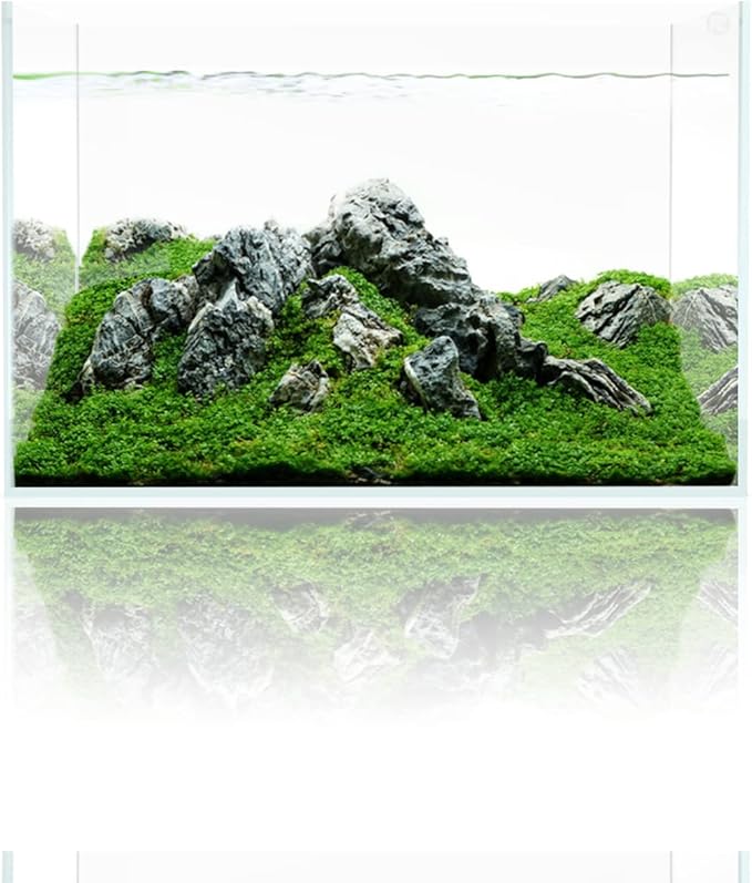 Fzone 10 Gal Rimless Low Iron Fish Tank Nova Clear Ultra-White 45° Mitered Edges Translucent Glass Anata Series Aquarium w/Black Foam Leveling Mat(S45-W30)-PurrikoPets