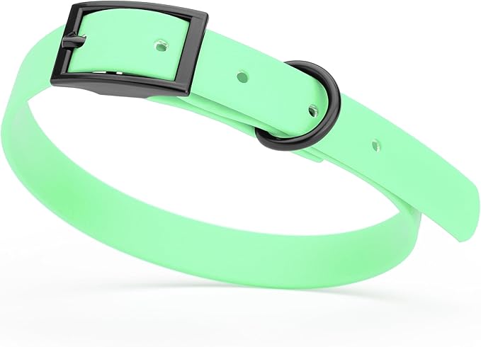Dogline Biothane Waterproof Dog Collar Strong Coated Nylon Webbing with Black Hardware Odor- Proof for Easy Care Easy to Clean High Performance Fits Small Medium or Large Dogs, Sea Foam Green-PurrikoPets