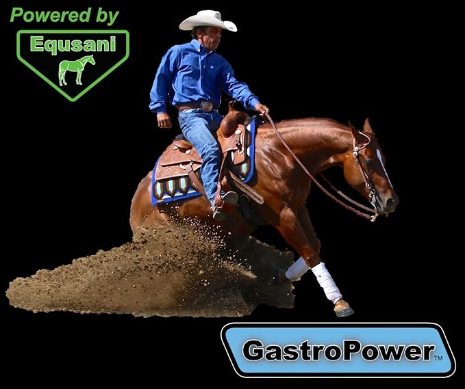 GastroPower Digestible Free Fatty Acid Feed Concentrate for Horses-PurrikoPets