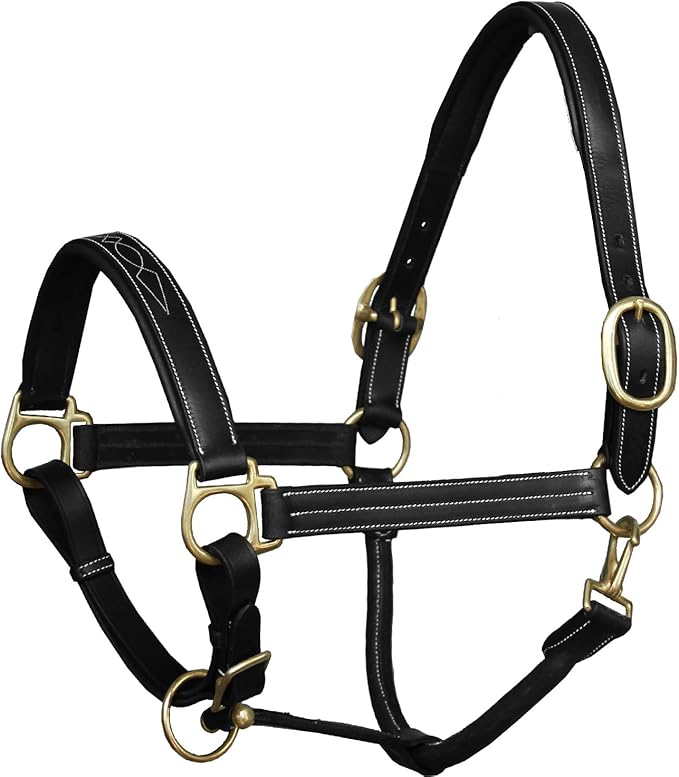 Exion Leather Horse Halter with Fancy Stitching | Black & Brown Padded Halter with Brass Hardware | Quick-Release Snap | Adjustable Leather Halter – Cob, Full, Over, Pony Sizes-PurrikoPets