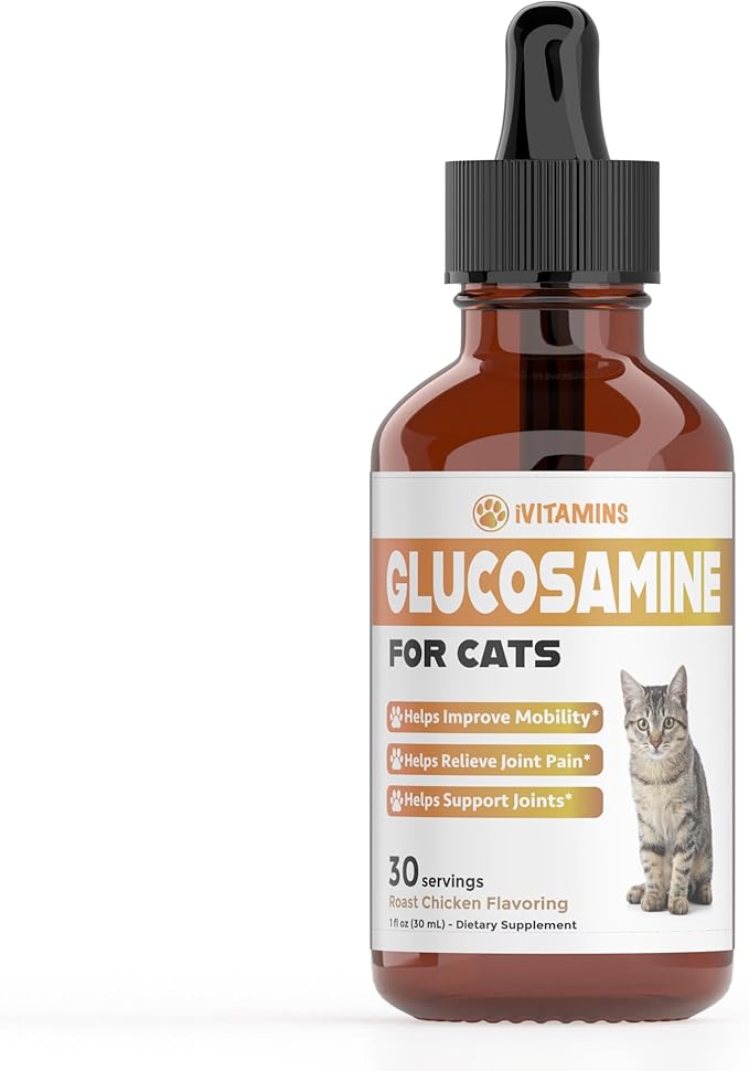 Glucosamine for Cats | Cat Glucosamine | Glucosamine for Cats Liquid | Cat Joint Supplement | Joint Supplement for Cats | Cat Joint Pain Relief | Joint Support for Cats | 1 fl oz: Chicken Flavor-PurrikoPets