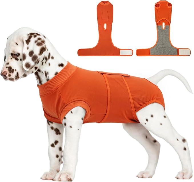 FUAMEY Dog Recovery Suit Male,Dogs Surgery Neuter Suits Puppy Spay Shirts for Female Protect Dog's Skin Anti Licking Abdominal Wounds Doggie Onesie Pet Bodysuit Alternative to Cone Orange XS-PurrikoPets