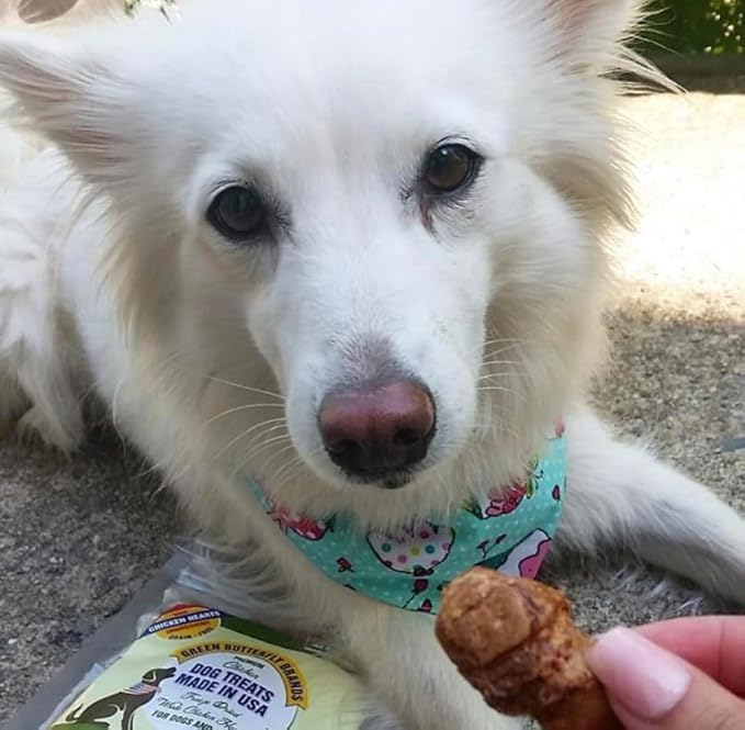 Freeze Dried Chicken Heart Dog Treats Made In USA. All Natural Freeze-Dried Raw Snacks for Dogs and Cats. One Ingredient. High Protein. Heart Health. Irresistible Training Treat-PurrikoPets
