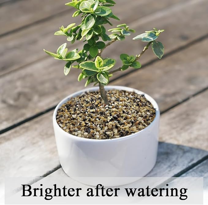 20lbs Fish Tank Sand, 1/16 inch Small Aquarium Gravel. Decorative Pea Gravel River Rocks for Air Plants, Vase Fillers, Landscaping and Succulent Soil Cover-PurrikoPets