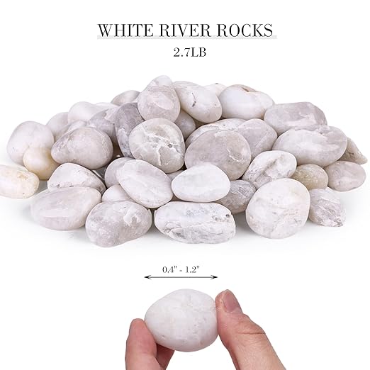 DomeStar 2.7lb White River Rocks, Polished Pebbles Decorative White Stones for Landscaping Vase Filler Fish Tank Aquariums Garden Outdoor and Indoor DIY-PurrikoPets