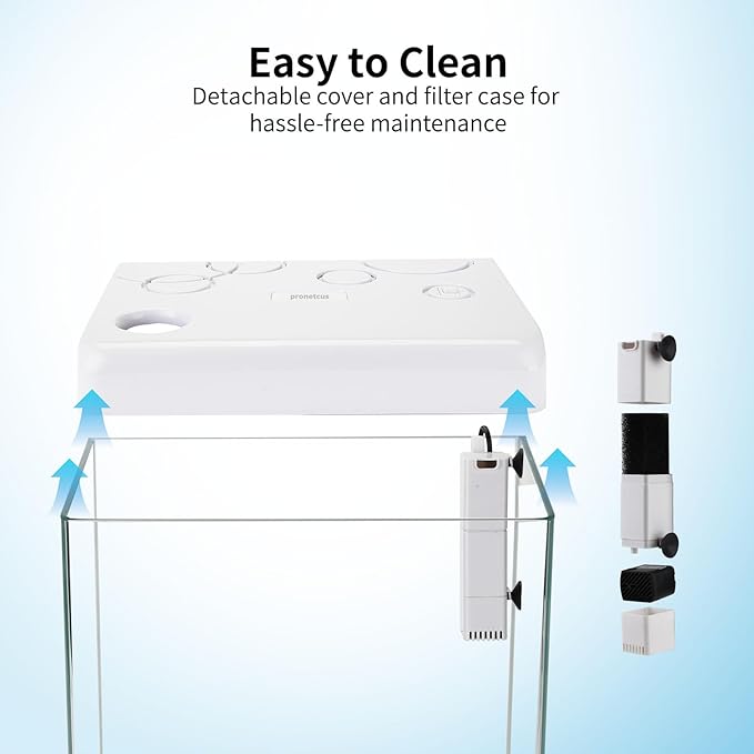 5 Gallon Glass Small Fish Tank,Betta Fish Tank with Filter and Light,White Aquarium Starter Kit.-PurrikoPets