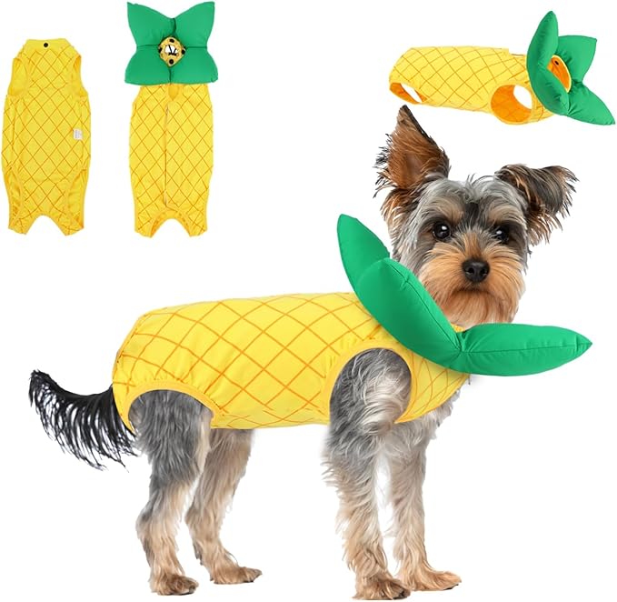 EMUST 2PCS Cat Recovery Suit & Cat Cone Collar Female, Soft & Adjustable Dog Surgery Suit Female Spay for Abdominal Wounds, Cotton Cone for Cats to Stop Licking for Small Female Pets 8-16lb, Yellow, L-PurrikoPets