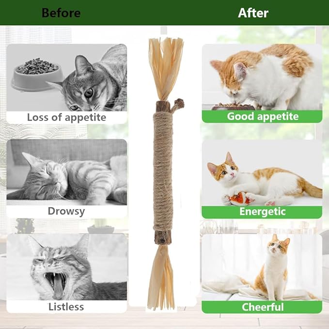 5 PCS Silvervine Sticks for Cats - Natural Cat Chew Toys for Teeth Cleaning, Kitten Teething & Aggressive Chewers-PurrikoPets
