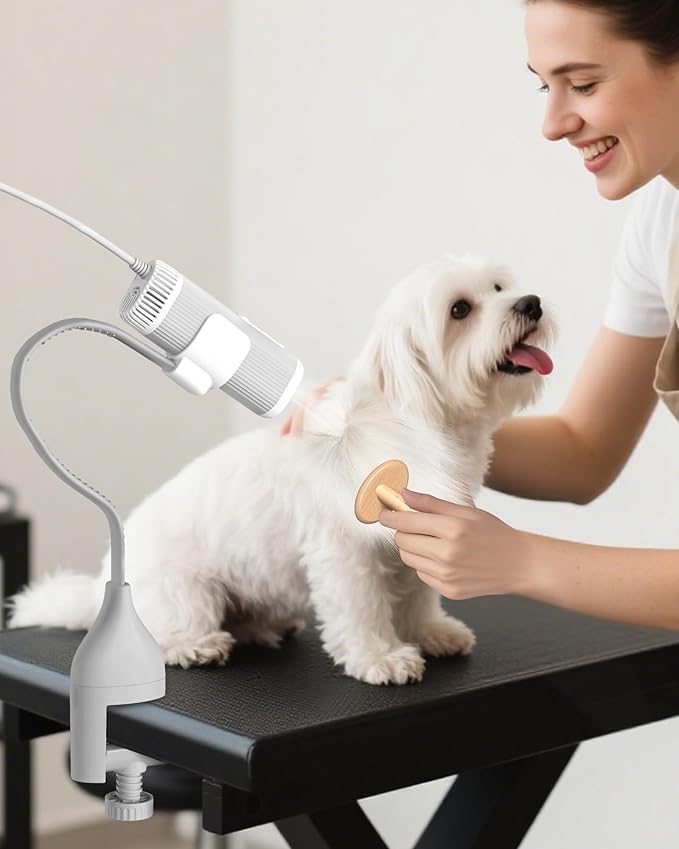 2-in-1 Hands-Free Dog Hair Dryer with Table Clamp – Low Noise Pet Grooming Dryer for Dogs & Cats, Adjustable Heat & Speed, Wearable or Desktop Use(Gray)-PurrikoPets