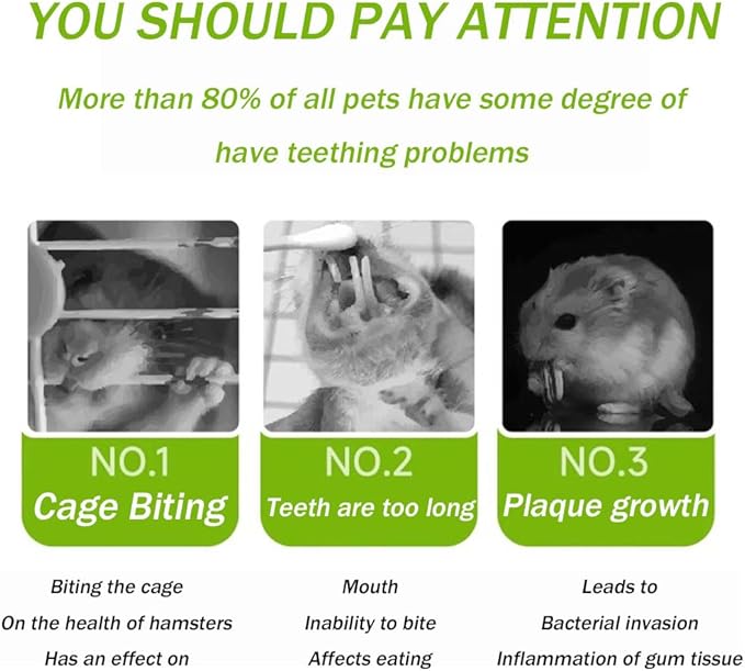 400g 5 Guinea Pig Toys Apple Sticks, Tissimo Grass Sticks, Sweet Bamboo, Papaya Stems, Carrot Sticks Pertain Chinchilla Squirrel Gerbil Hamster Squirrel Guinea Pigs-PurrikoPets