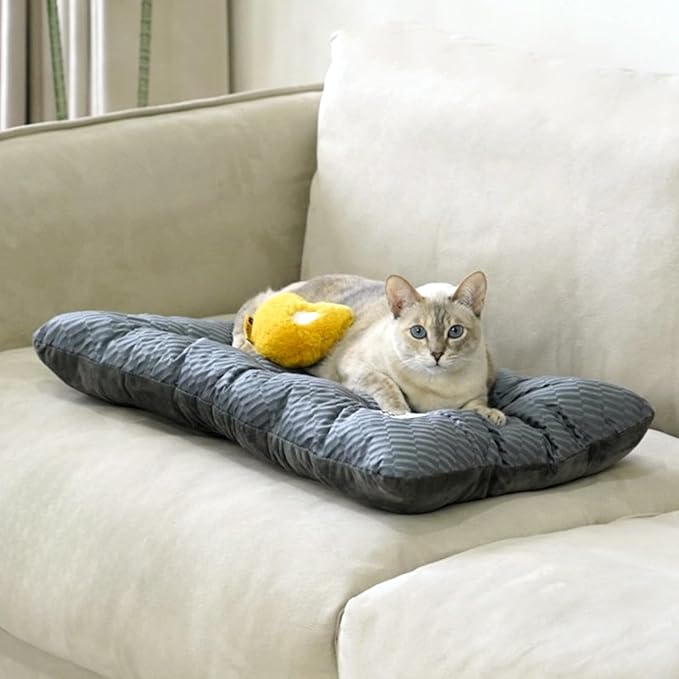 FUNNY FUZZY 24x18 Washable Dog Bed Reversible Crate Mat, 2 in1 Orthopedic Puppy Bed for Small Dogs/Cats, Fluffy Deluxe Kennel Mattress,Sleeping Pad,Charcoal Grey,S-PurrikoPets