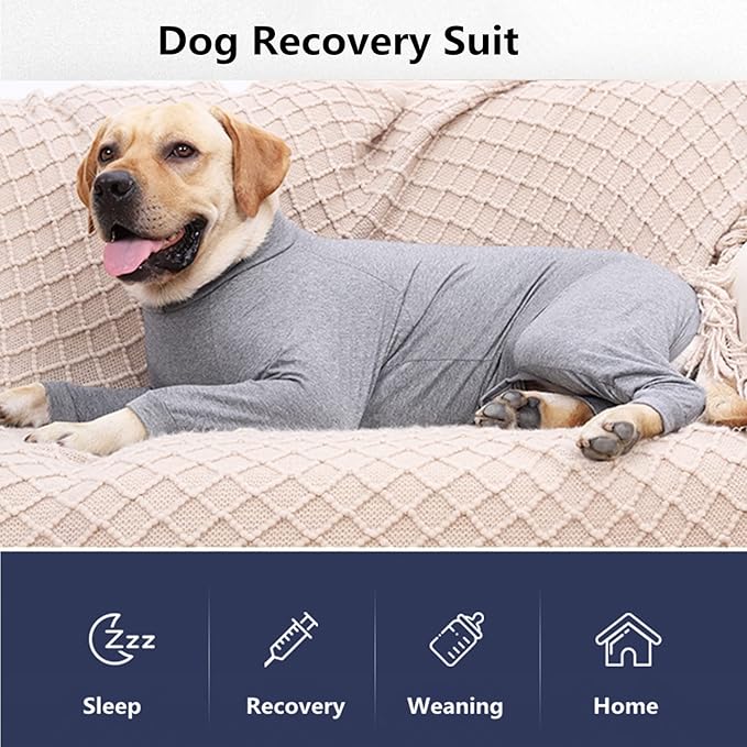 Dog Recovery Suit, Abdominal Wound After Surgery Wear, Prevent Licking Wounds, E-Collar & Cone Alternatives, Long Sleeve Postoperative Shirts Dog Bodysuit Prevent Shedding(2XL, Grey)-PurrikoPets