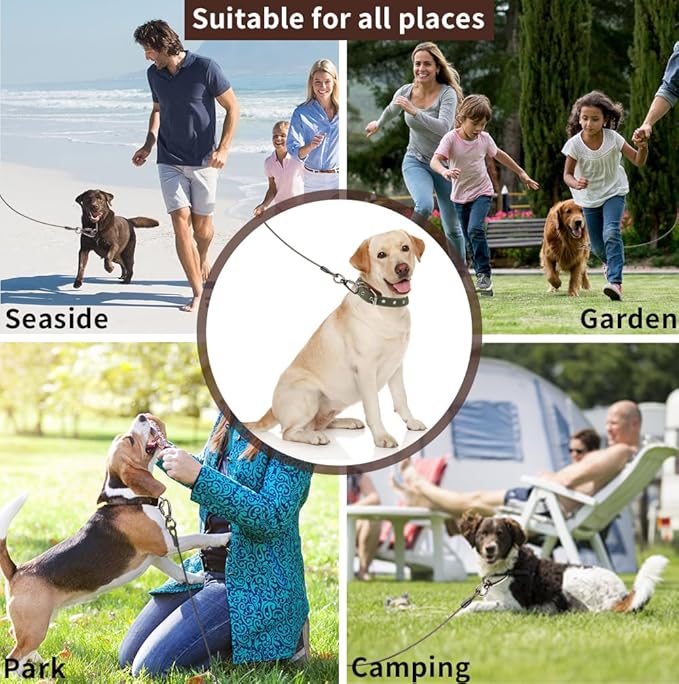 Dog tie Out Cable, 10/20/25/30/50/70/100 feet, Suitable for Dogs up to 350 pounds, Dog Cable with Swivel Buckle, Lightweight, Non-Winding, for Outdoor Camping, Yard Dog Cable (Black, 30FT)-PurrikoPets