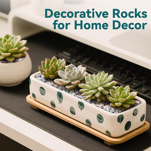 2.5 lbs Natural Pea Gravel Pebbles for Aquarium, Fish Tank, 3/8 inch Decorative Pebbles for Indoor Plants, Succulent, Bamboo, Vase, Drainage Rocks for Potted Plants, Top Dressing, Mixed Color-PurrikoPets