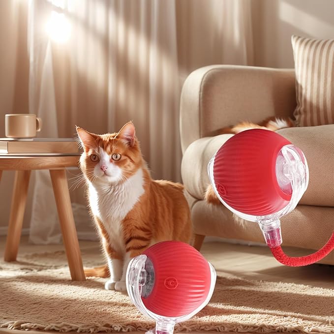 Electric Cat Toy - Automatic Rolling cat Toy with Motion sensors, Designed for Indoor Cats, Suitable for Solo Play (USB Rechargeable) (Greener)-PurrikoPets