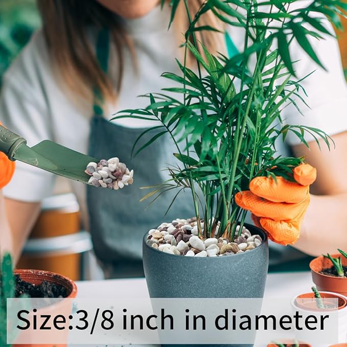 5 lbs Natural Mixed Color Gravel Pebbles, 3/8 Inch Decorative Succulent Rocks Pebbles for Plants, Stones for Vase, Landscaping and Outdoor Garden Decorative River Rock-PurrikoPets