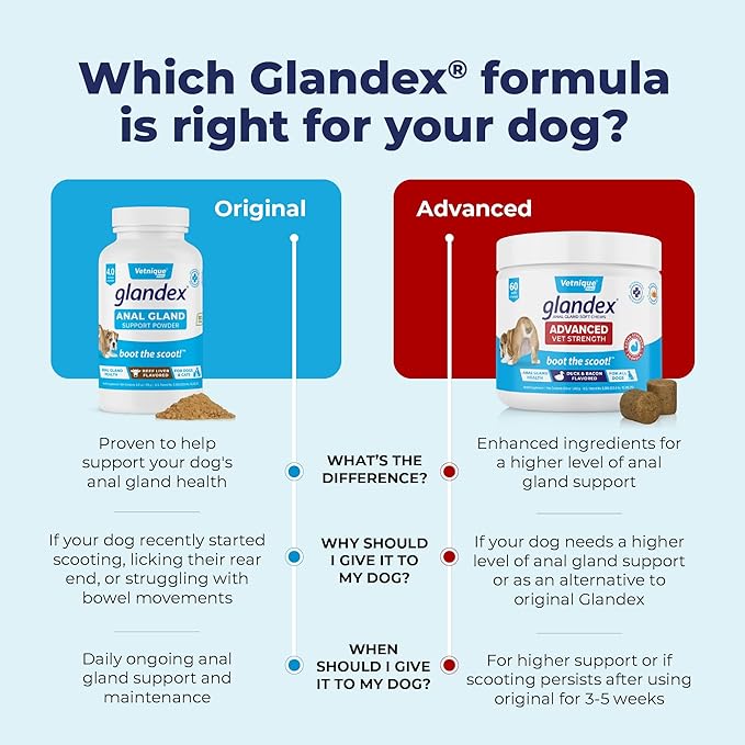 Glandex Dog Fiber Supplement Powder for Anal Glands with Pumpkin, Digestive Enzymes & Probiotics - Vet Recommended (Regular or Advanced Strength) - Boot The Scoot (5.5 oz, Vegan Salmon)-PurrikoPets