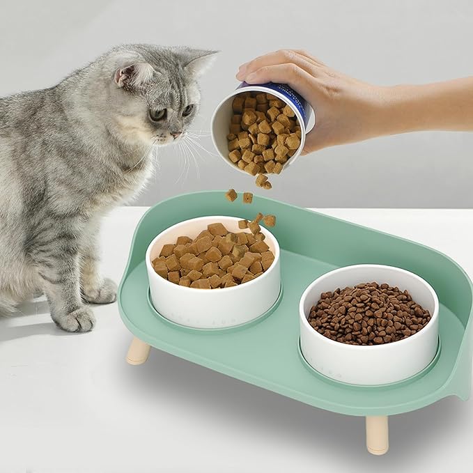 Elevated Dog Bowls Set, Ceramic Pet Food & Water Bowls with Non-Slip Stand, No Spill Design for Cats/Small Medium Dogs Green-PurrikoPets