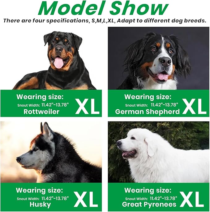 Dog Muzzle, Basket Muzzle for Small Medium Large Dogs, Anti-Biting and Chewing, Lightweight & Sturdy Cage Design, Allows Panting & Drinking, Ideal for Grooming & Training(Green Size XL)-PurrikoPets