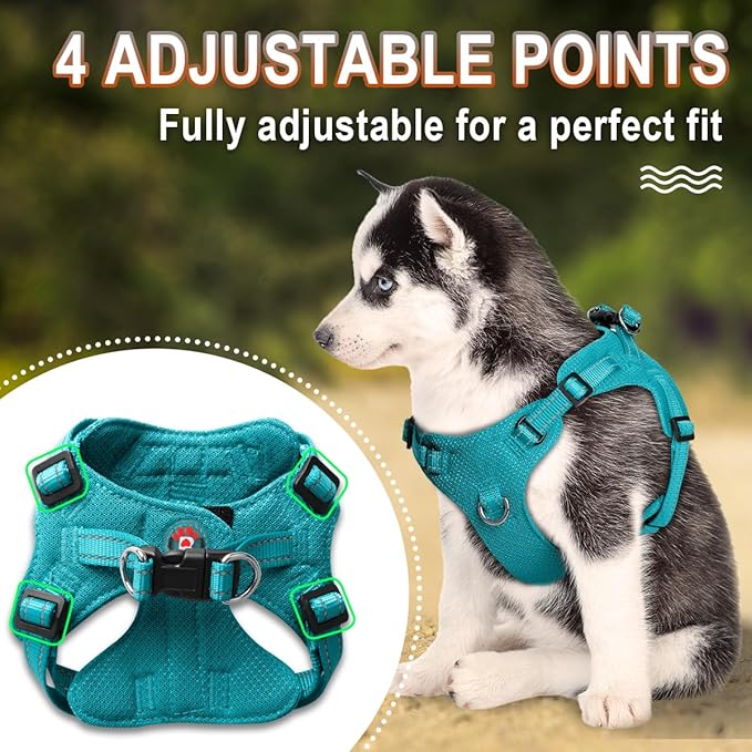 Dog Harness Step in Dog Vest Harness, Reflective Adjustable Puppy No Pull Harness Breathable Soft for Small and Medium Dogs Cats, Ocean Blue, XS-PurrikoPets