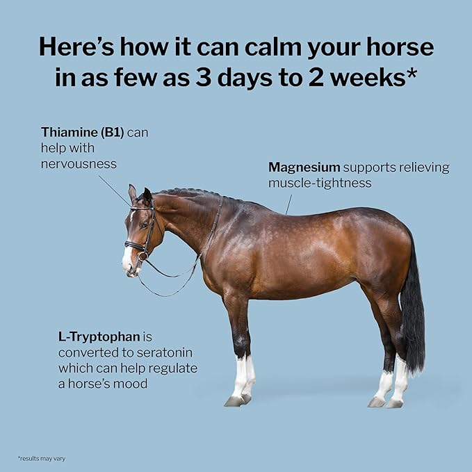 Formula 707 Calming Equine Supplement, Daily Fresh Packs – Anxiety Relief and Enhanced Focus for Horses – L-Tryptophan, Thiamine & Magnesium-PurrikoPets