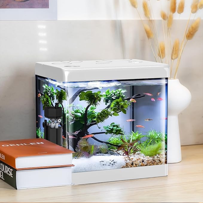5 Gallon Glass Small Fish Tank,Betta Fish Tank with Filter and Light,White Aquarium Starter Kit.-PurrikoPets