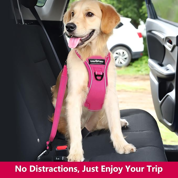 Dog Seat Belt Harness for Car, Dog Car Harness Adjustable Mesh Breathable & Dog Seatbelt Safety Tether with Elastic Bungee for Small Medium Large Pets(Rose, XL)-PurrikoPets