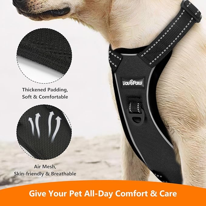 Dog Seat Belt Harness for Car, Dog Car Harness Adjustable Mesh Breathable & Dogs Seatbelt Safety Tether with Elastic Bungee for Small Medium Large Pets(Carbon Black, XL)-PurrikoPets