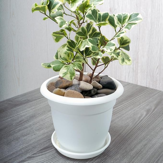 20lbs Aquarium Rocks, 5/8" Natural River Rocks for Plants Decorative Polished Mixed Pebbles for Fish Tank, Landscaping, Gardening, Flower Pots, Vase Fillers, Indoor Water Fountains-PurrikoPets