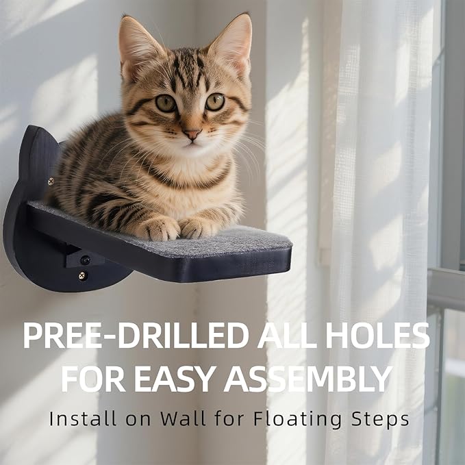 ESPETS Black Painted Solid Wood Cat Wall Climbing Steps Set of 3 - Wall Mounted Cat Floating Furniture Shelves and Perches, Sturdy Climber Stairs Ladders - Holds up 30lbs-PurrikoPets