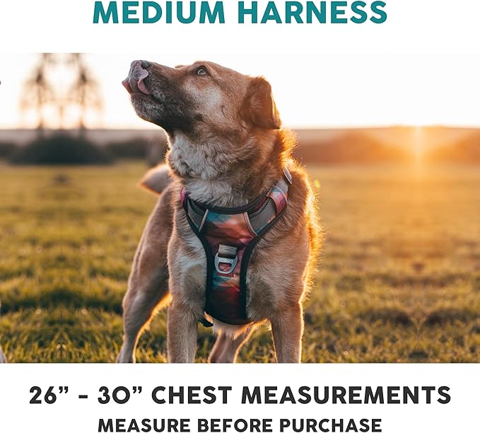 Embark Adventure Dog Harness, Reflective Trim No Pull Harness for Medium Sized Dog - Military Grade Nylon, Front Clip with Gel Lined Handle. Soft & Padded Puppy-PurrikoPets